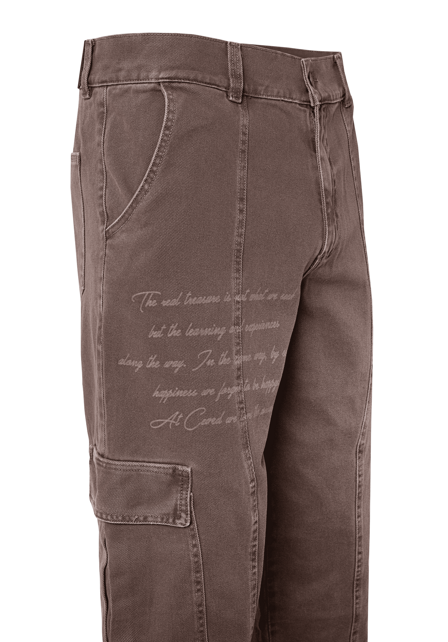 Pantalón Cargo Treasure - Café